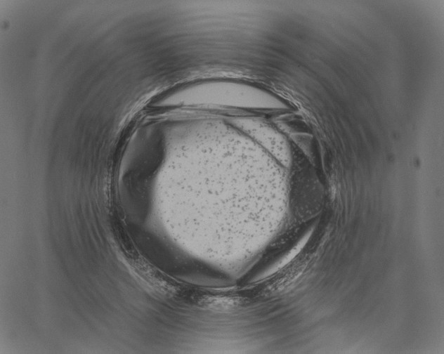 X0000062880352200602101722