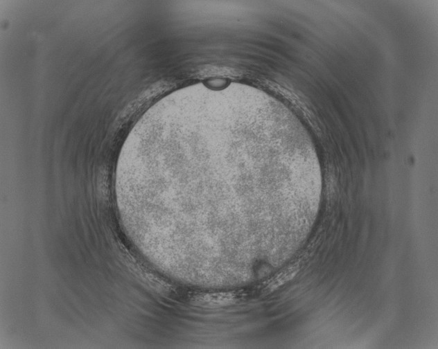 X0000062880353200602101722