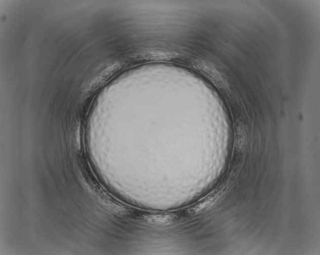 X0000062880358200602101722