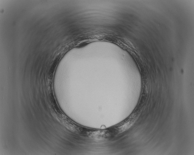 X0000062880366200602101722