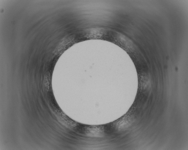 X0000062880370200602101722