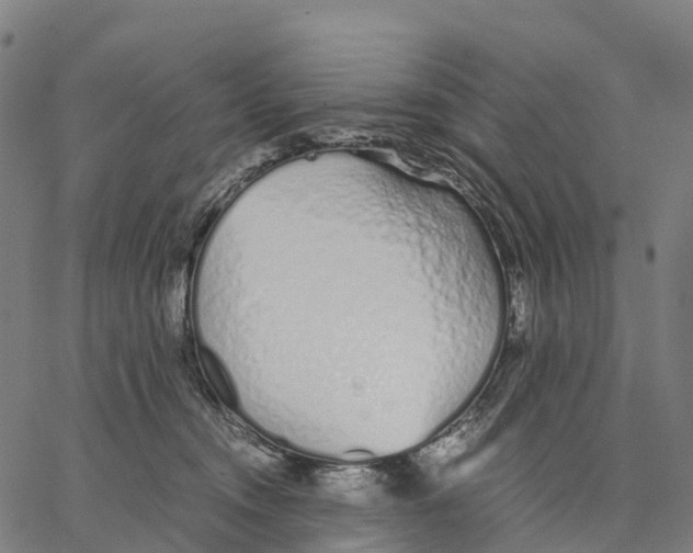 X0000062880372200602101722