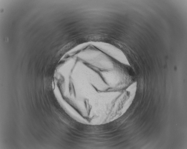 X0000062880383200602101722