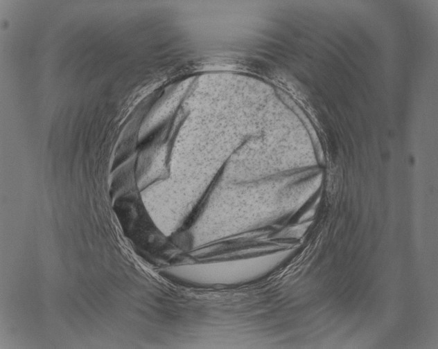 X0000062880385200602101722