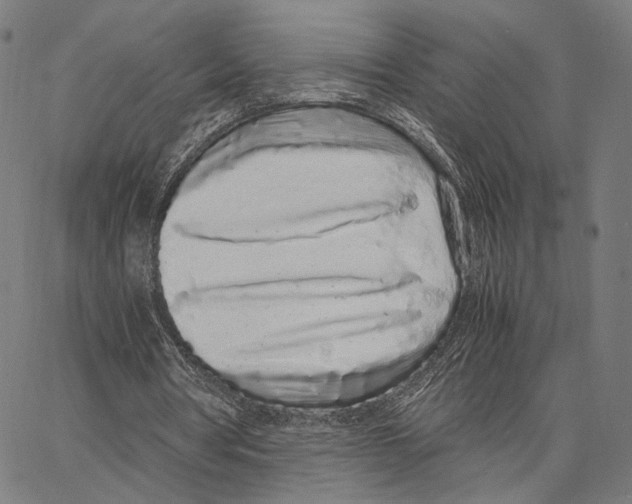 X0000062880386200602101722