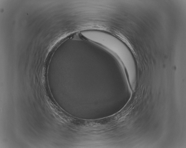 X0000062880387200602101722