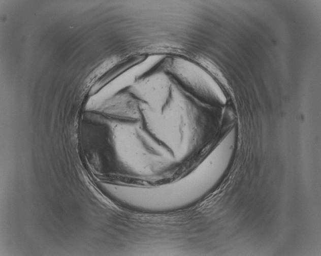 X0000062880389200602101722