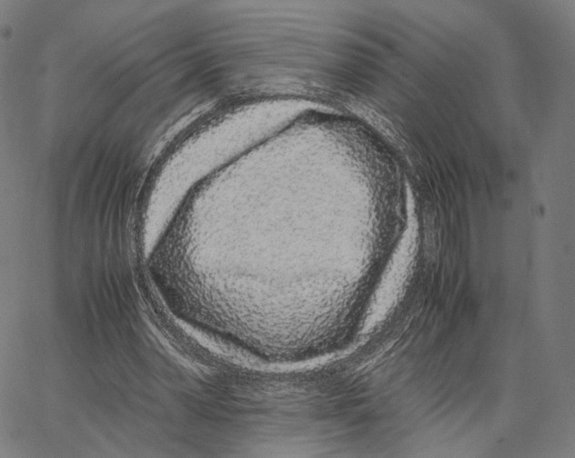 X0000062880390200602101722