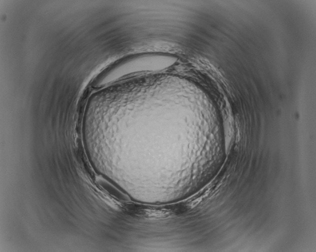 X0000062880392200602101722