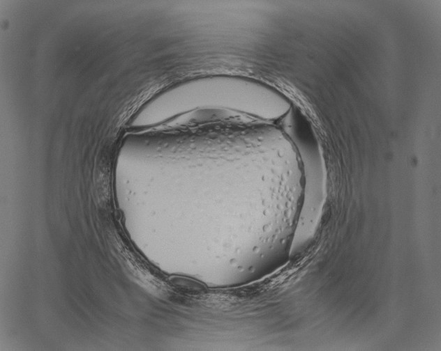 X0000062880393200602101722
