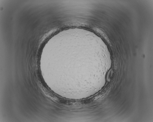X0000062880395200602101722