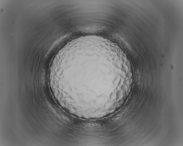 X0000062880400200602101721