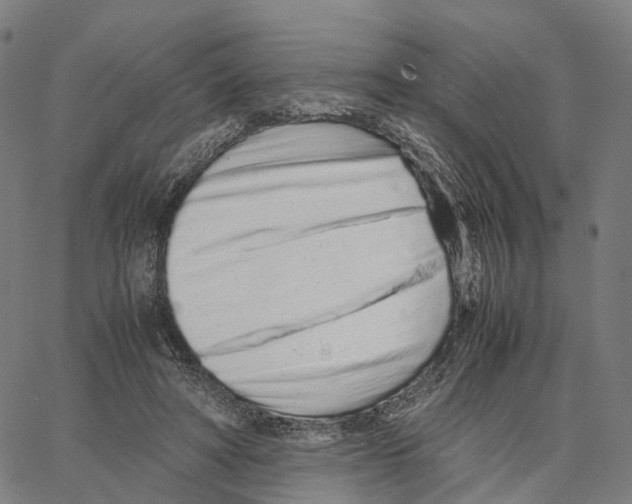 X0000062880402200602101721