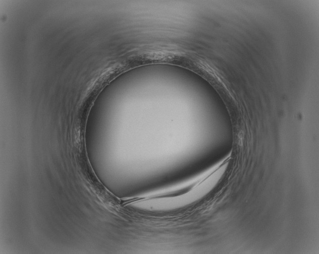 X0000062880407200602101721