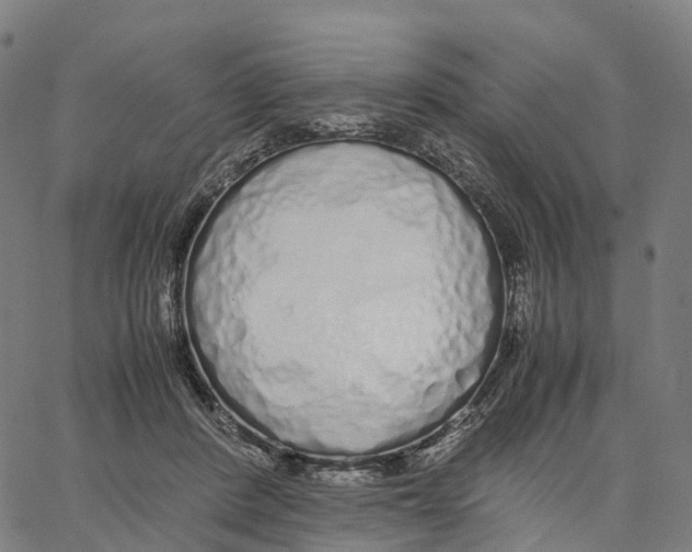 X0000062880408200602101721