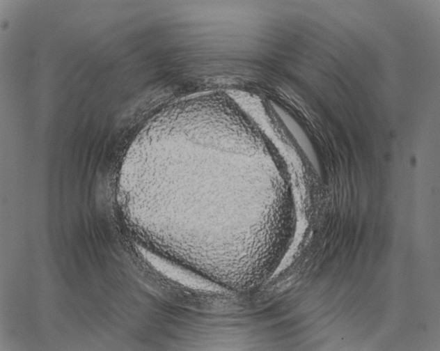 X0000062880410200602101721