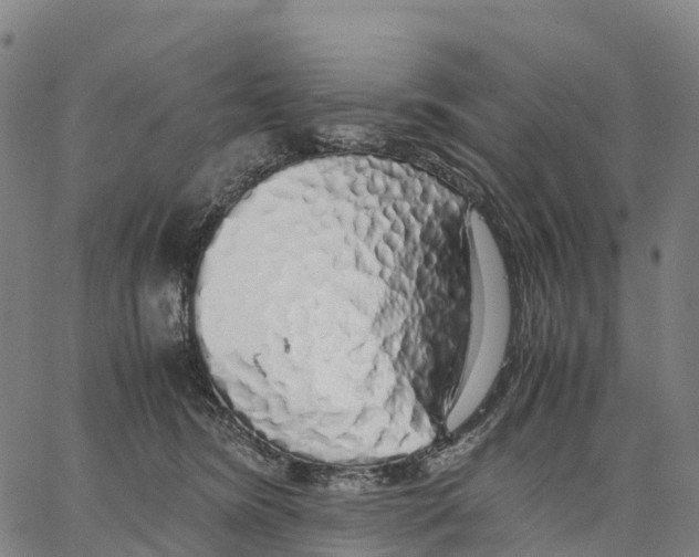 X0000062880420200602101721