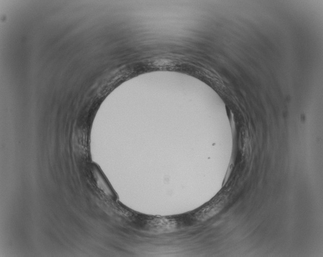 X0000062880421200602101721