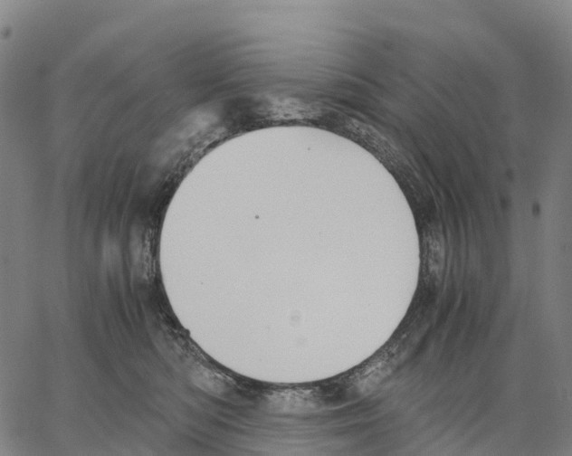 X0000062880422200602101721