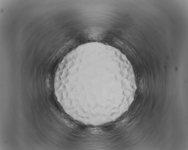 X0000062880424200602101721