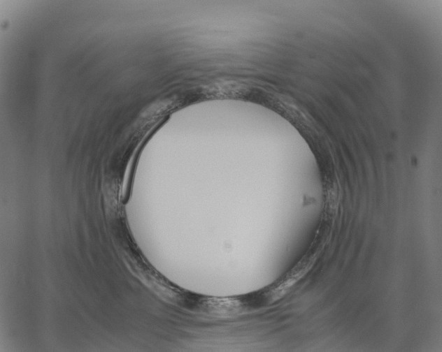 X0000062880429200602101721