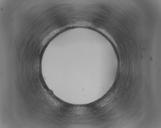 X0000062880437200602101720