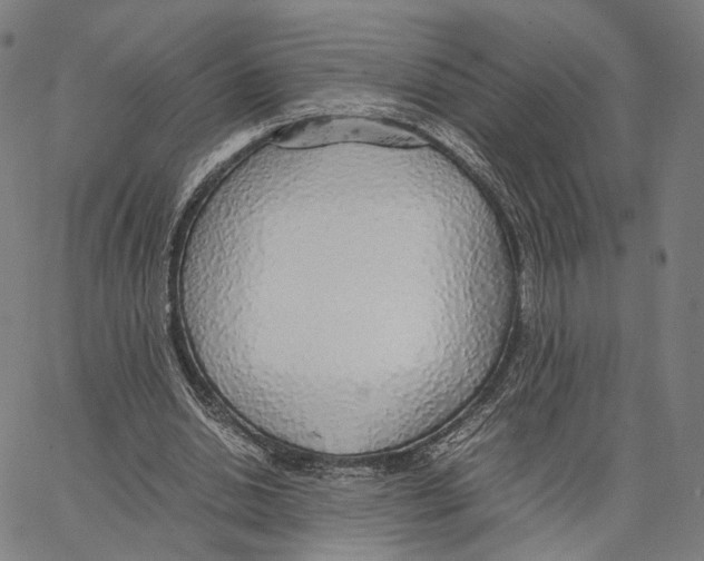 X0000062880438200602101720