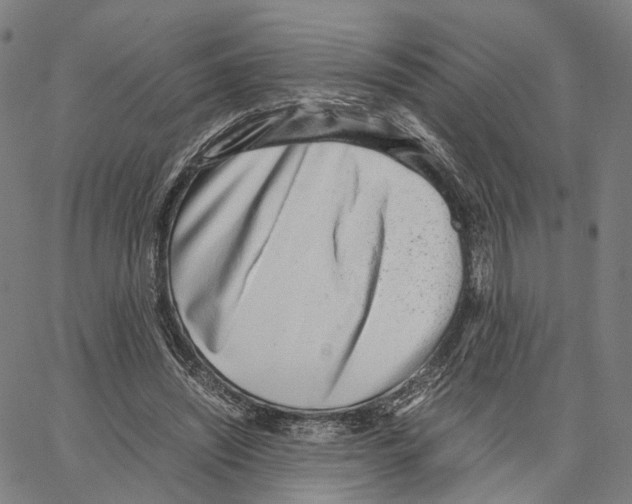 X0000062880444200602101720