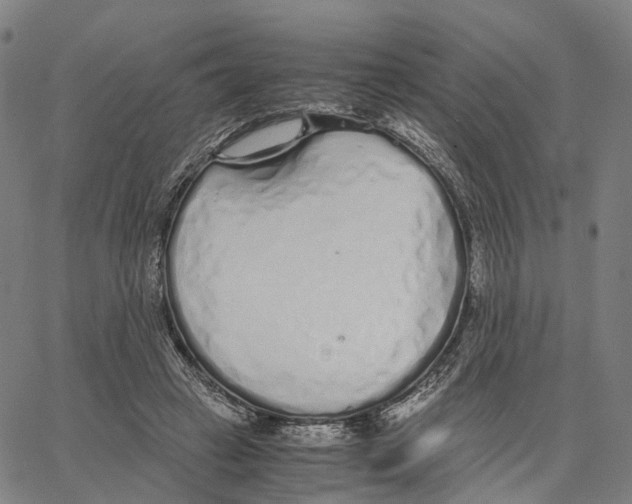 X0000062880449200602101720