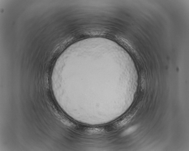 X0000062880453200602101720