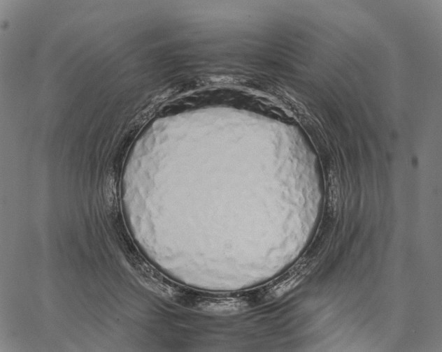 X0000062880459200602101721
