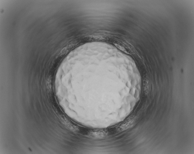 X0000062880466200602101721