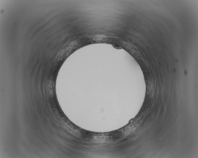 X0000062880470200602101721