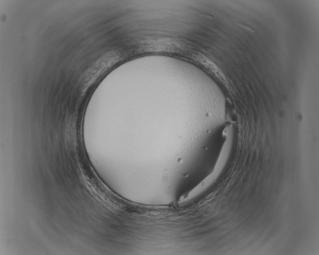 X0000062880482200602101720