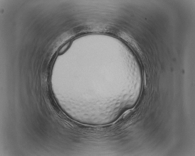 X0000062880483200602101720