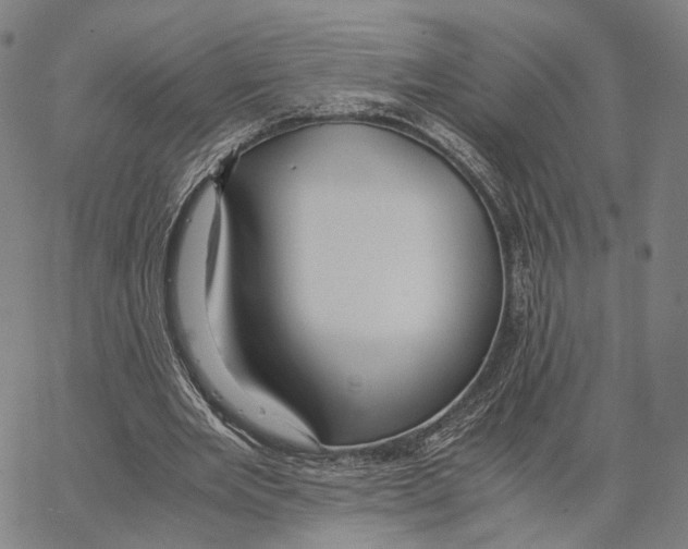 X0000062880485200602101720