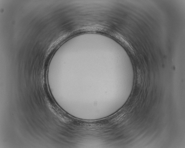 X0000062880486200602101720