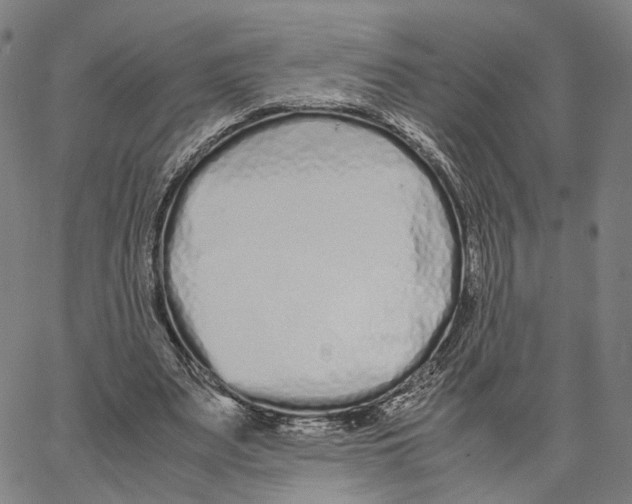 X0000062880487200602101720