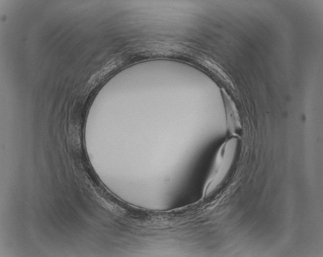 X0000062880489200602101720