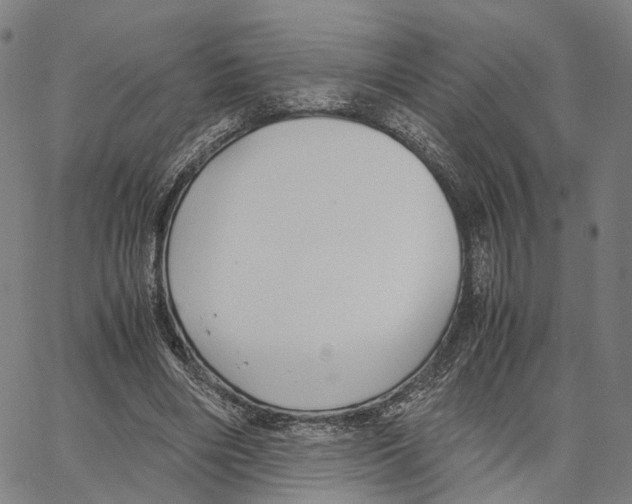 X0000062880490200602101720