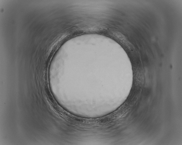 X0000062880491200602101720