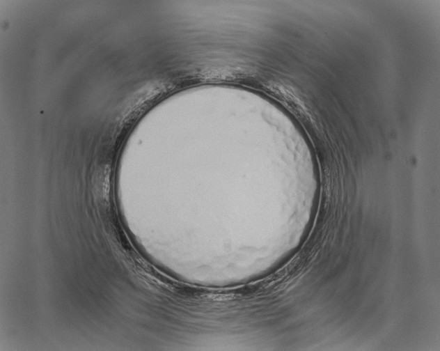 X0000062880495200602101720