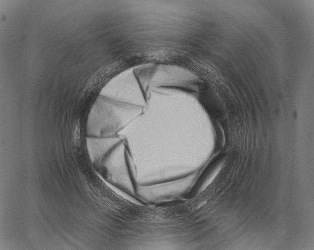 X0000062880502200602101720