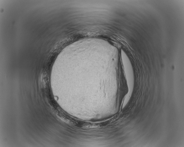 X0000062880503200602101720