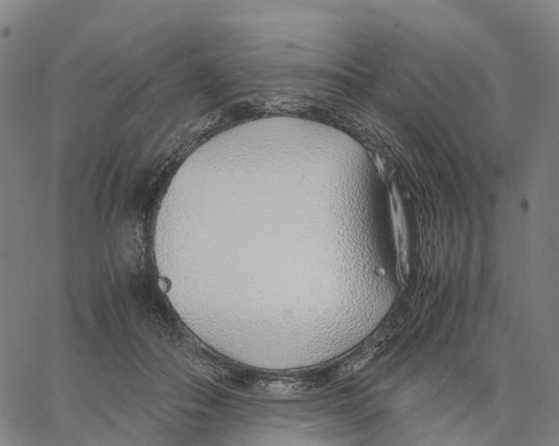 X0000062880506200602101720