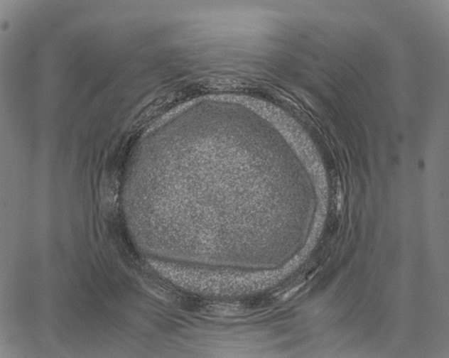 X0000062880507200602101720