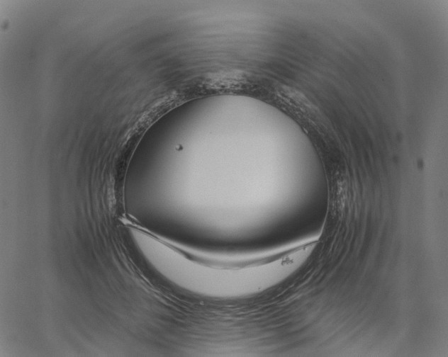 X0000062880508200602101720