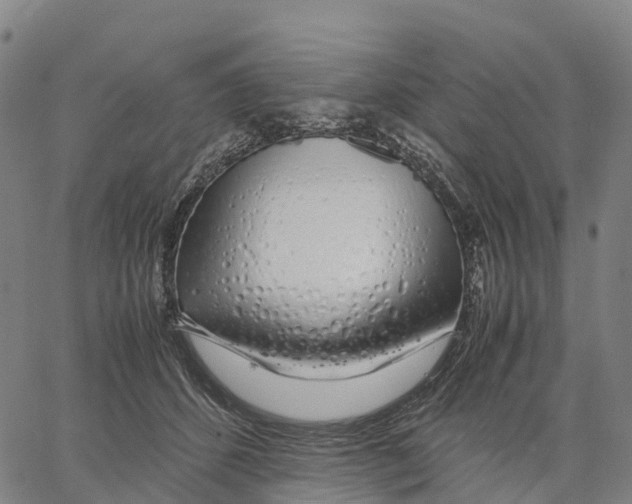X0000062880512200602101720
