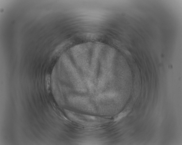 X0000062880528200602101719
