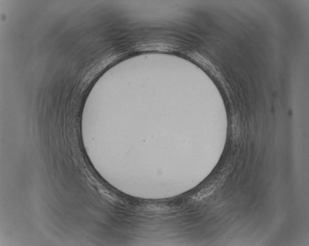 X0000062880529200602101719